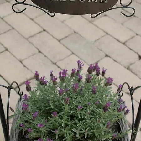 Affittacamere Silver Garden