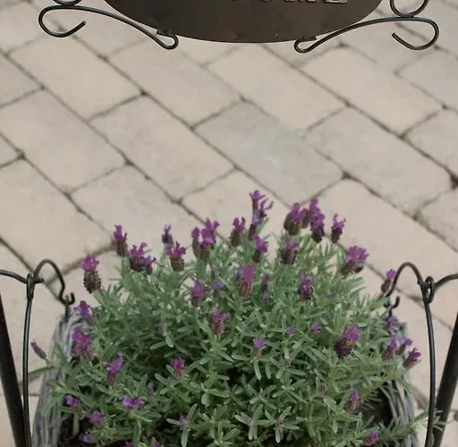 Guest house Silver Garden